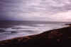 Bay.jpg (40934 bytes)
