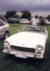 DenVicCar.jpg (54667 bytes)