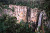 Rainforest.jpg (92222 bytes)